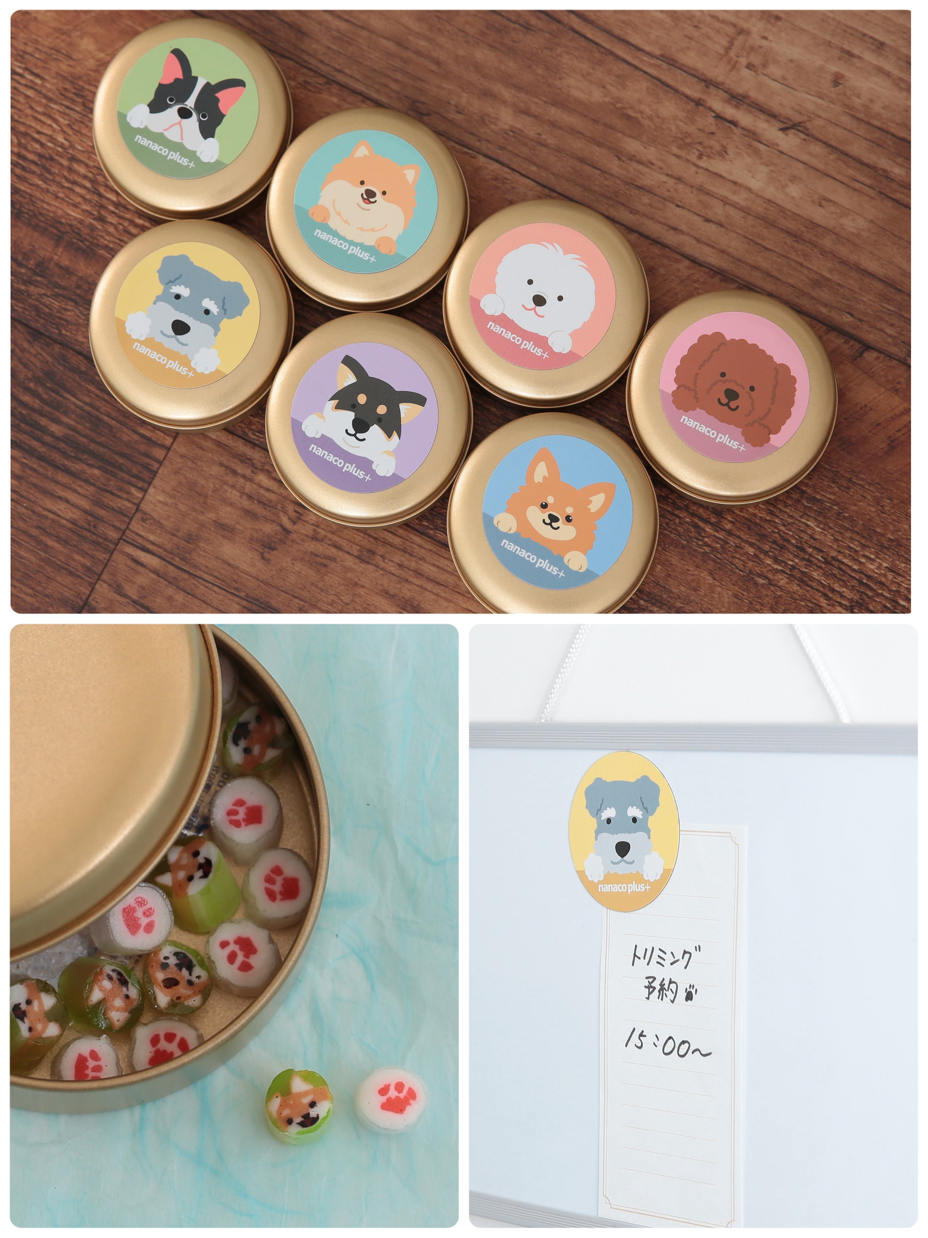【新商品】10月24日（金）わんわんCANDY DOG7種　発売