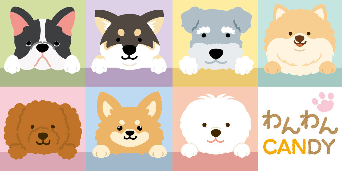 お気に入りを見つけて~!!わんわんCANDY